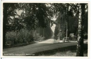 Hartha. Kurort Hartha-Hintergersdorf, Harthaflügel