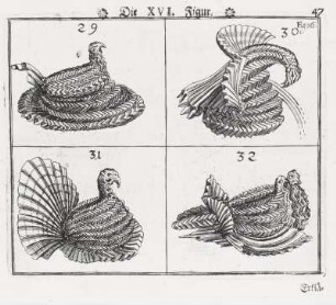 Die XVI. Figur, Seite 47