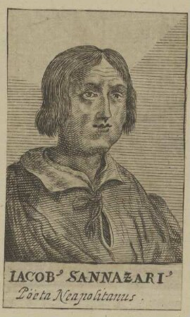 Bildnis des Iacubus Sannazarius