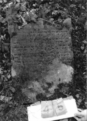 Grabstein 45 (Index: 99790656) Zustand: sehr stark verwittert Maße HxBxT: 64x48xo.A. cm Besonderheit: Kindergrab; - Lesung sehr unsicher: Grabstein 45