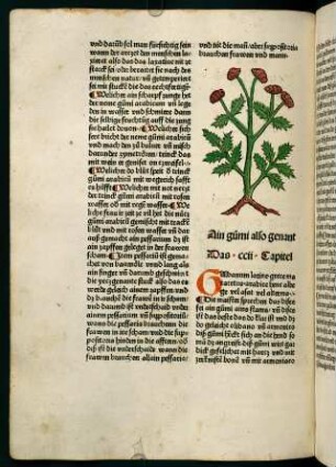 111v-112r, Ain gumi (202. Kapitel)