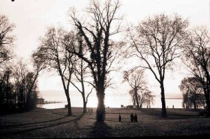 Marquardt: Park und See
