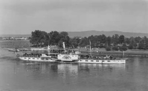 Personen-Seitenraddampfer "Karlsbad" (1898, Werft Blasewitz) in Fahrt an der Wesenitzmündung