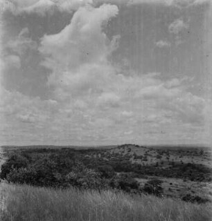Landschaft : Blick über eine bewaldete Ebene bei Masaka