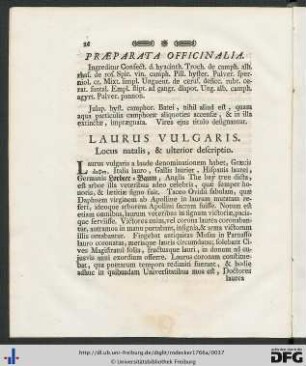 Laurus Vulgaris.