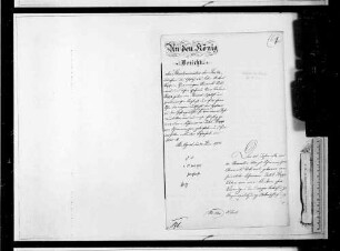 Verbrechen und Vergehen: Diebstahl und Raub (1905-1906)