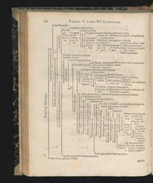 Tabula I. - Tabula XIV.
