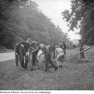 VMI (Volkswirtschaftliche Masseninitiative): Beleuchtung Großer Garten