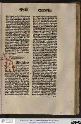 Incipit undecimus.