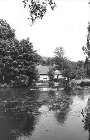 Hochkirch-Lehn. Mühlteich