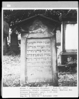 Grabstein von Hindle (Johanna) Mayer, Ehefrau des Elieser Bürstadt (gestorben 1854.12.05)