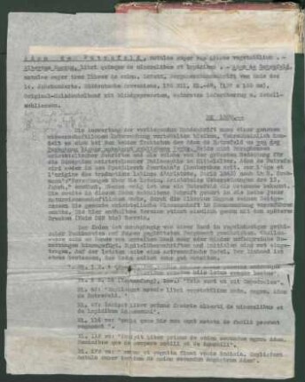 Handschriftenbeschreibung (Typoskript)