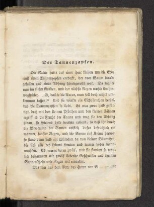 Der Tannenzapfen.