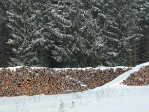 Sachsen-Anhalt, Unterharz bei Siptenfelde, Holzstapel