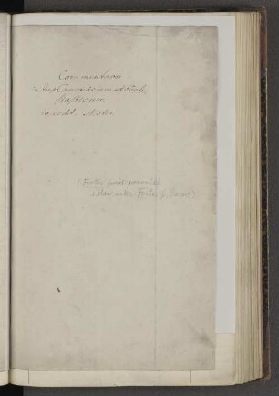 Commentarii in Ius Canonicum et Ecclestasticum in codd. MStis.