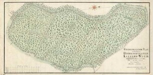 Geometrischer Plan von dem sog. Herrschaftl. Kaysers-Wald Kippenheimer Banns und Forsts