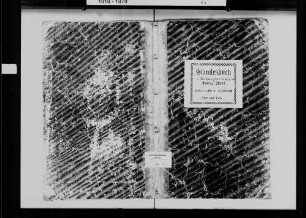 Neckarzimmern, evangelische und israelitische Gemeinde: Standesbuch 1868-1869