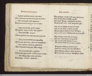 Das Pochen : [SW V: H17]; [SW V, S. 76/127]