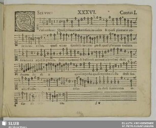 XXXVI. Quasi cedrus exaltata sum