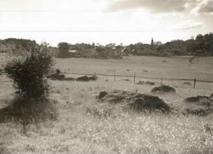 Krebes : Blick auf das Dorf vom Abhang des Burgberges über die Wiesenmulde des Burgbaches von Osten