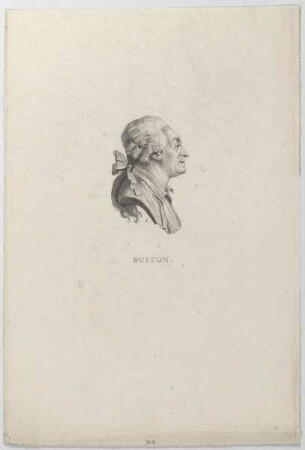 Bildnis des Georges Louis Le Clerc de Buffon