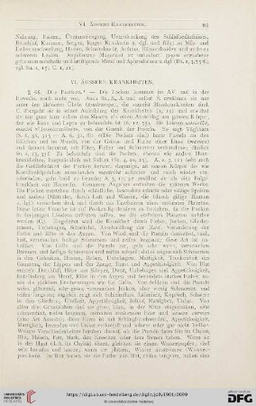 VI. Äussere Krankheiten