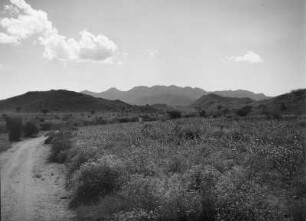 Berglandschaft : Durch Berge und Hügel geprägte Landschaft in Eritrea