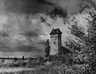 Archivfotografie "kaiserstuhl_jechtingen_3952"