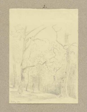 Waldweg