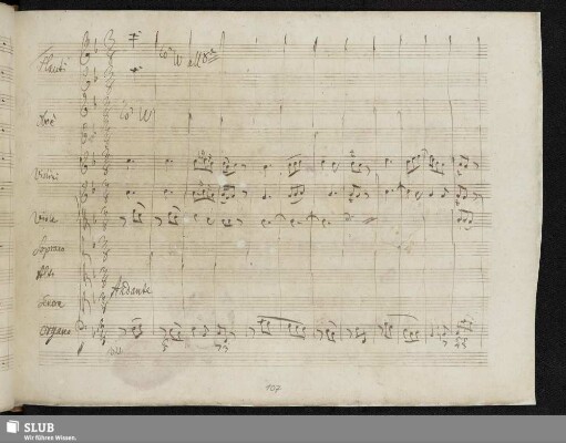 Benedictus, qui venit in nomine Domini hosanna in excelsis