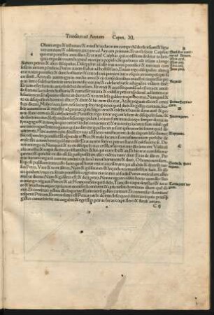 Transitus ad Annam Caput. XI.