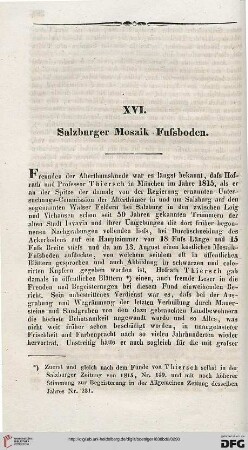 XVI: Salzburger Mosaik-Fussboden