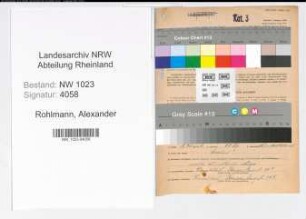 Entnazifizierung Alexander Rohlmann , geb. 08.11.1894 (Kaufm.Angest.)