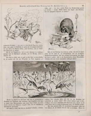 "Populär-wissenschaftlicher Vortrag des Dr. Sulphurius über die Stellung des Menschen in der Thierwelt"