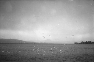 Untersee