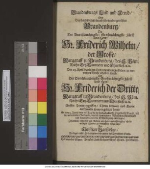 Brandenburgs Leid und Freud/ Oder Das höchst betrübte und sehr wieder getröstete Brandenburg