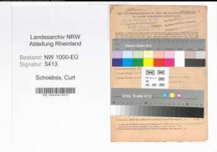 Entnazifizierung Curt Schoebss, geb. 25.10.1901 (Angestellter)