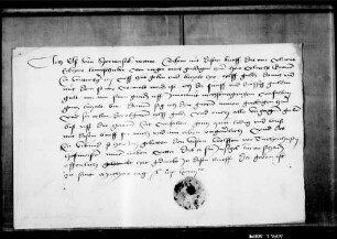 Els von Sperberseck, Witwe, quittiert über 11 fl. an 35 fl. verfallener Gült.