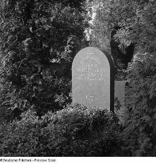 Grabstein für Elfriede Morgenstern : Dresden. Friedhof (vielleicht auf dem Weißen Hirsch). Grabstein für Elfriede Morgenstern (wohl 1944)