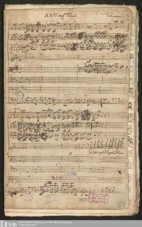 Ms. Ff. Mus. 1203 - XXVI. nach Trinit.