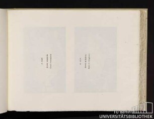 Pl. XXIV. École moderne. Tennis d'entraînement. Pl. XXIV. École moderne. Tennis de championnat.