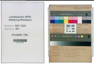 Entnazifizierung Otto Knoepfel , geb. 11.09.1895 (Buchhalter)