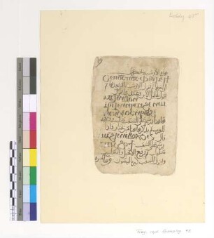 [Evening and Morning Offering of Incense] : Fragm. copt. Pischoi Eucholog. 43
