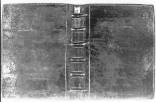 L'arbre des batailles - BSB Cod.gall. 12
