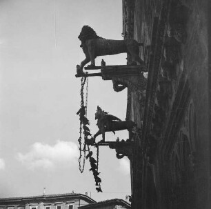Greif und Löwe