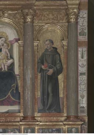 Madonna mit den heiligen Franz von Assisi und Antonius von Padua, Heiliger Antonius von Padua