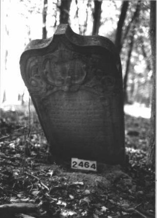 Grabstein 2464