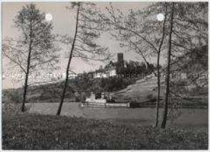 Heinsheim, Burg Ehrenberg und Neckar