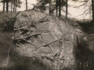 Zittauer Gebirge. Sandstein mit Quarzadern (treten infolge ihrer Widerstandsfähigkeit gegen Verwitterung hervor, nordwestlich der Lausche)