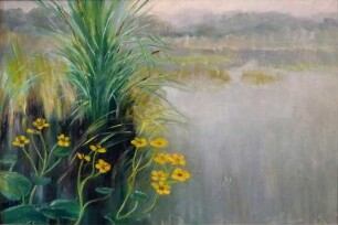 unbenannt [Sumpfdotterblumen am Ufer]